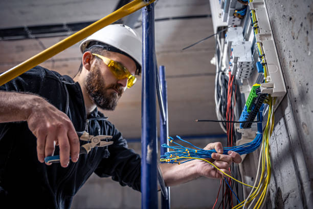 Best Electrical System Inspection  in De Soto, KS